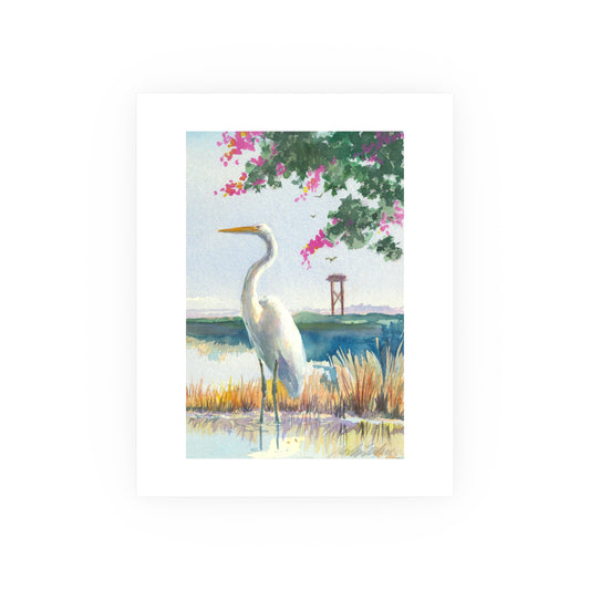 White Heron - Prints - Various Sizes