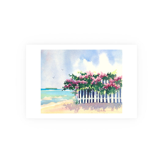 Beach Bougainvillea - Prints - Various Sizes