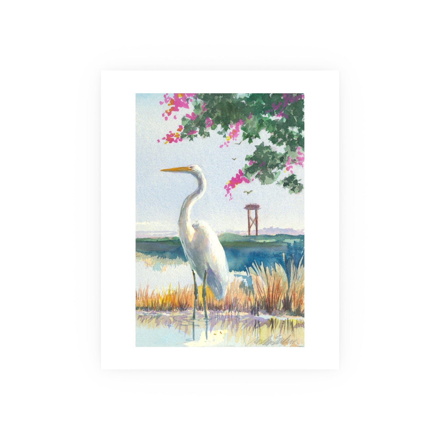 White Heron - Prints - Various Sizes