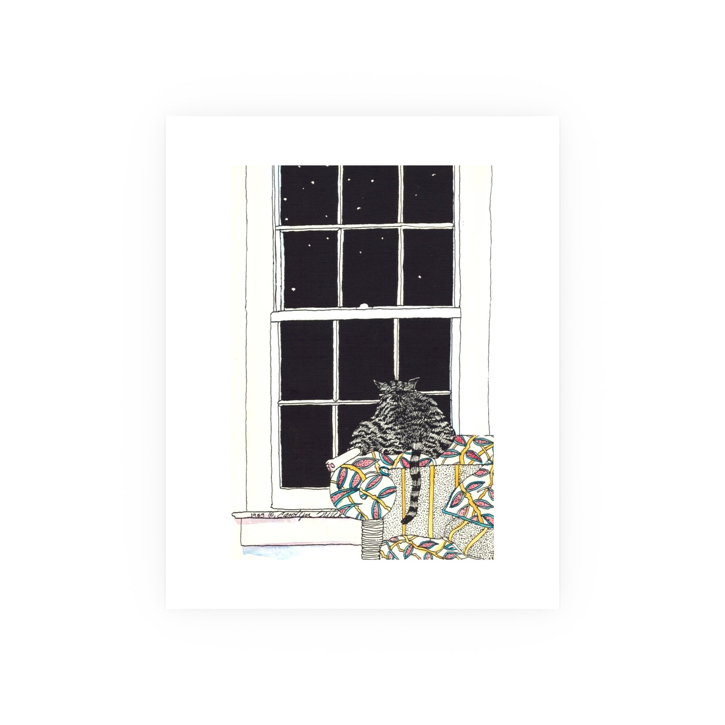 Stargazer - Prints - Various Sizes