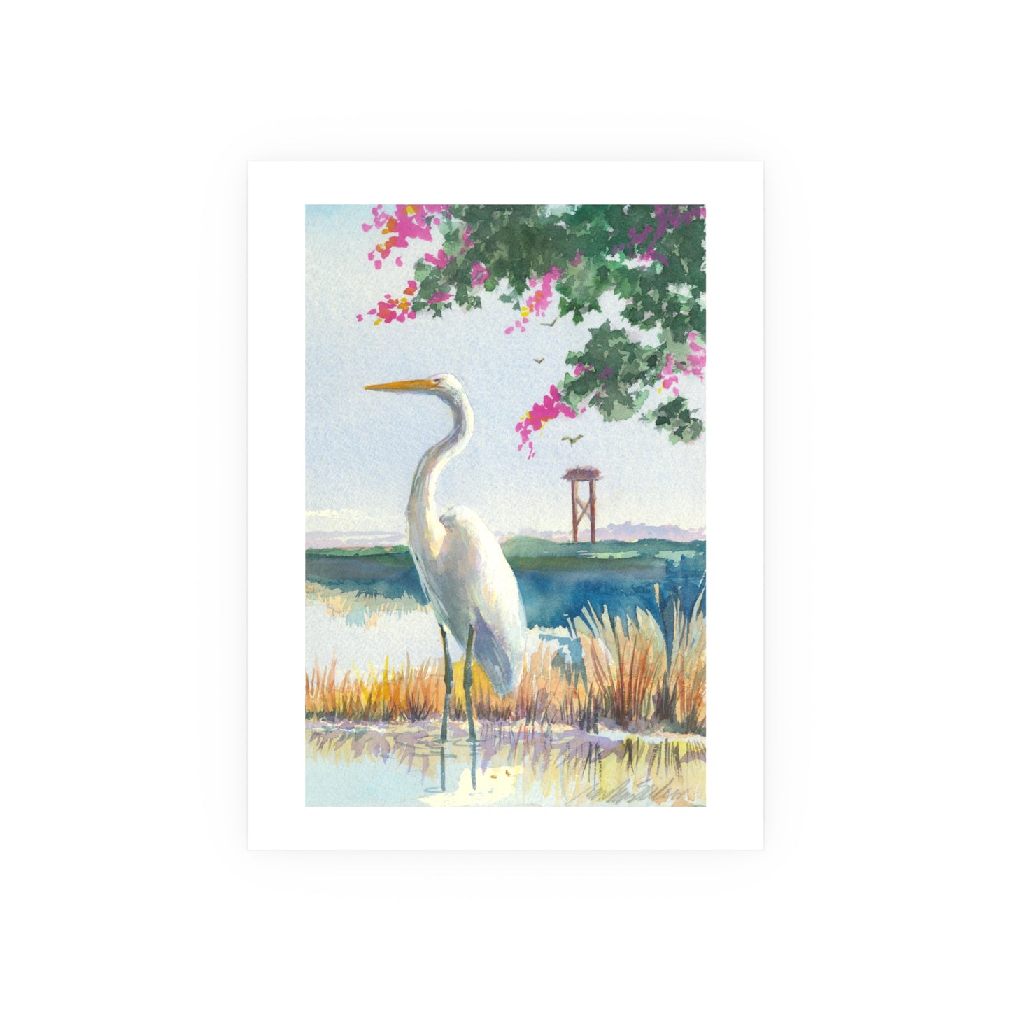 White Heron - Prints - Various Sizes